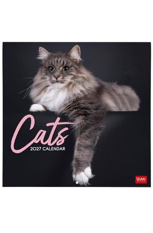 CALENDARIO PARED 2027 LEGAMI CATS