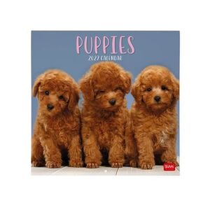 CALENDARIO PARED 2027 LEGAMI PUPPIES