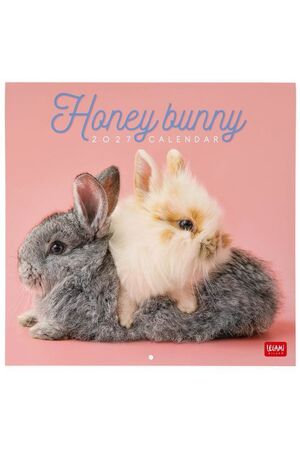 CALENDARIO PARED 2027 LEGAMI HONEY BUNNY