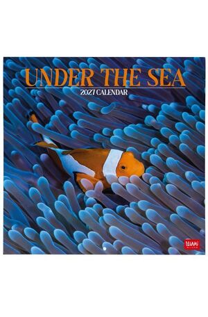 CALENDARIO PARED 2027 LEGAMI UNDER THE SEA