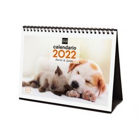 Multicolor Perros y Gatos Finocam Imágenes de Pared Calendario 2022 30x30-300x600 mm 