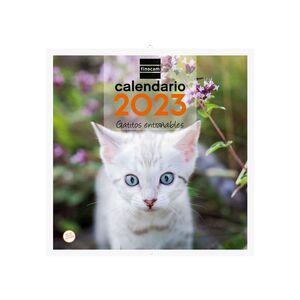 Perros y Gatos Finocam Imágenes de Pared Multicolor 30x30-300x600 mm Calendario 2022 