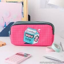 TRIPLE PENCIL CASE *DO SOMETHING WOW TODAY*