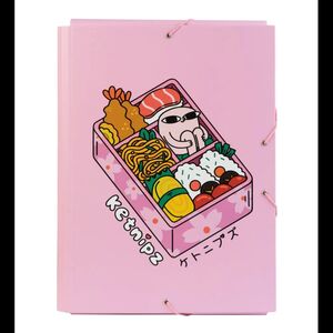 CARPETA GOMAS Y SOLAPAS ERIK KETNIPZ